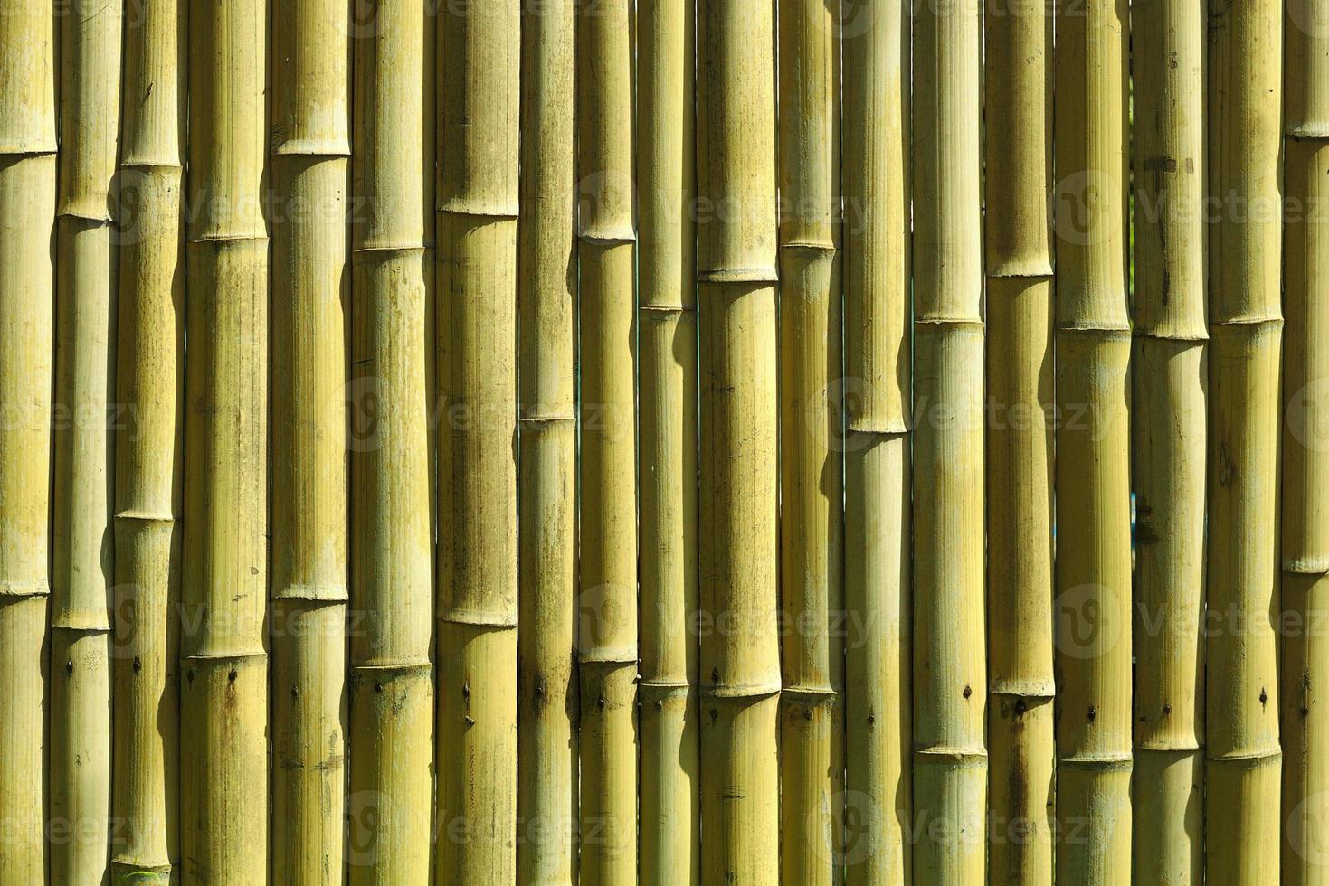 sfondo di bambù foto