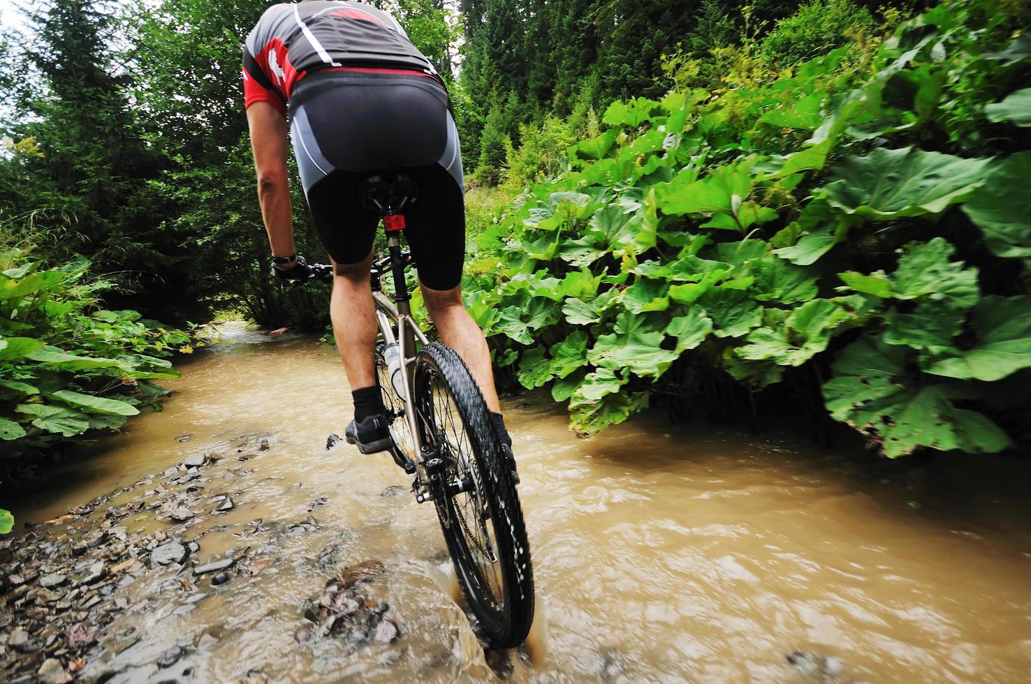 montagna bicicletta Visualizza foto