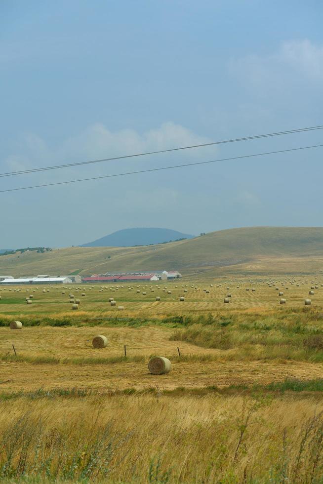 vista del paesaggio estivo foto