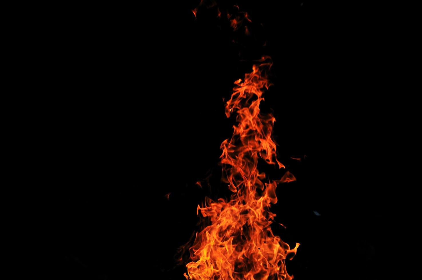 selvaggio fuoco Visualizza foto