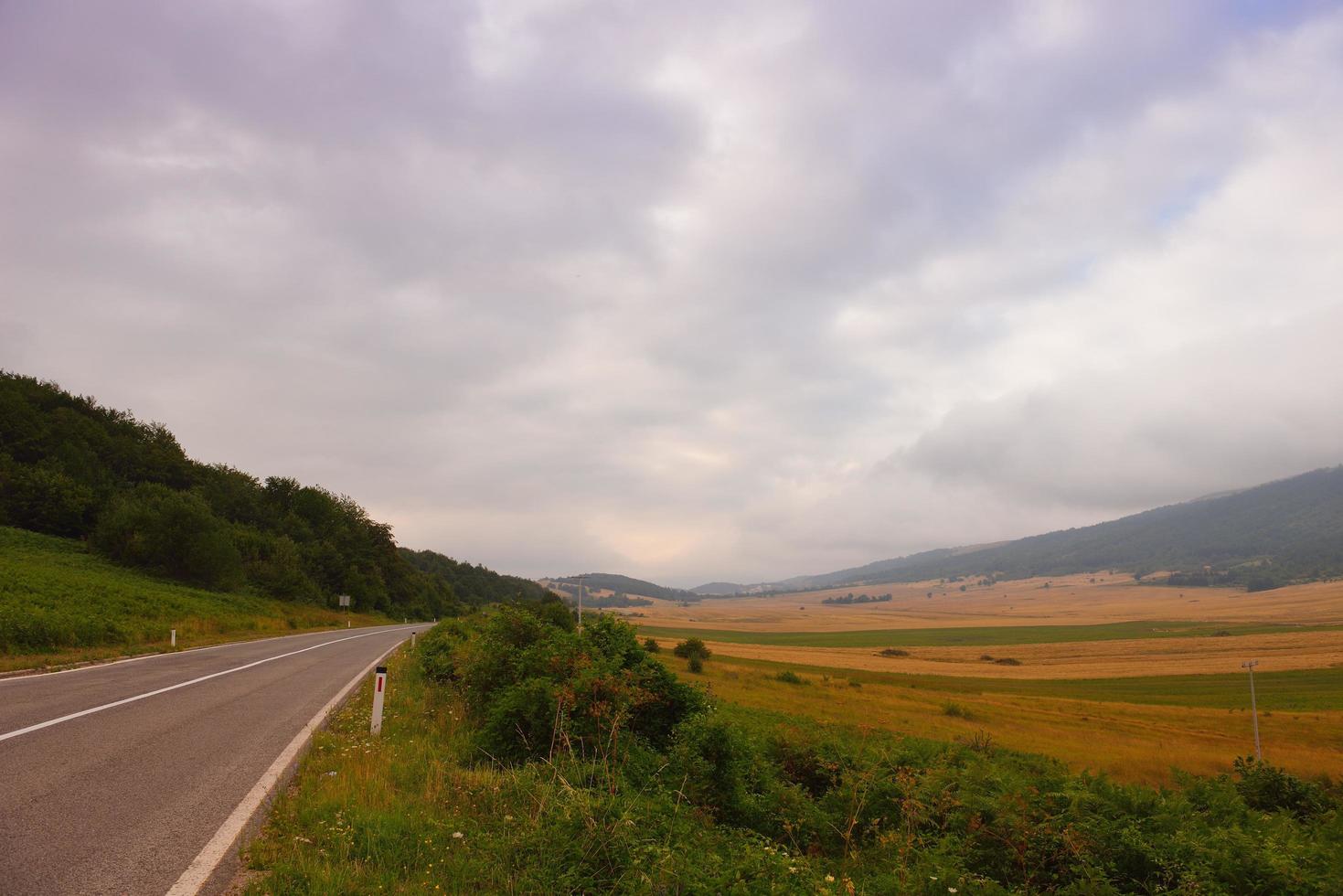 strada attraverso il verde campo foto