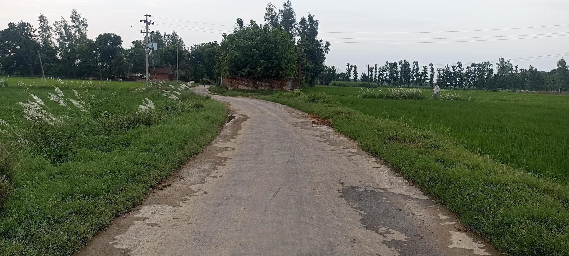 villaggio strada migliore di rurale natura foto