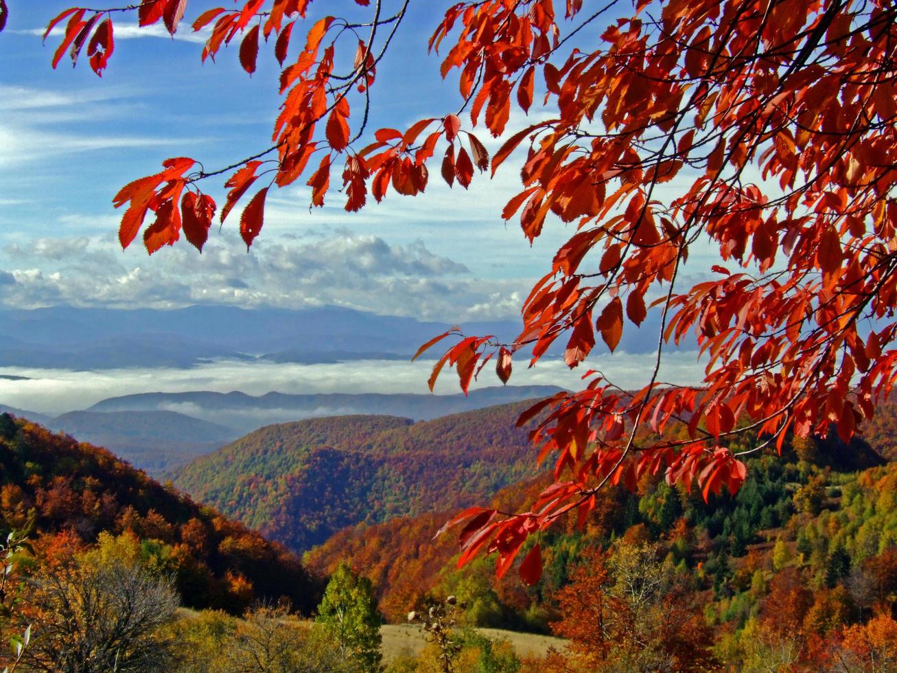 l'autunno è qui foto