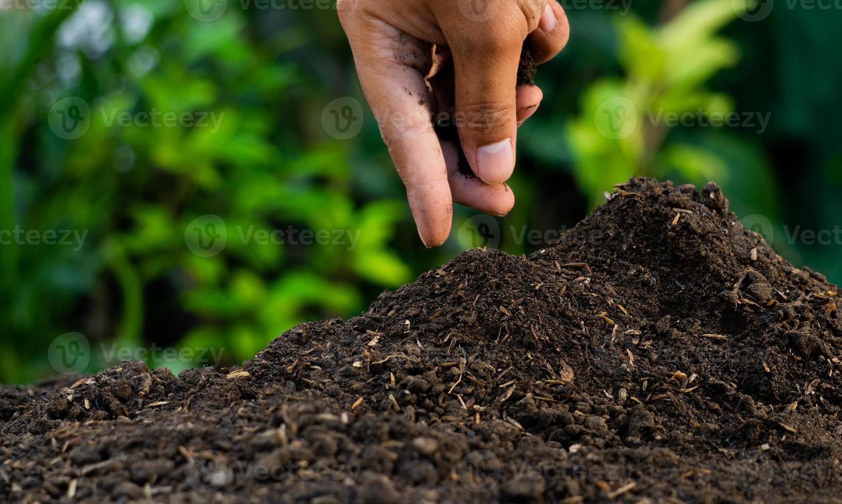 agricoltori mano piantare pianta semi foto