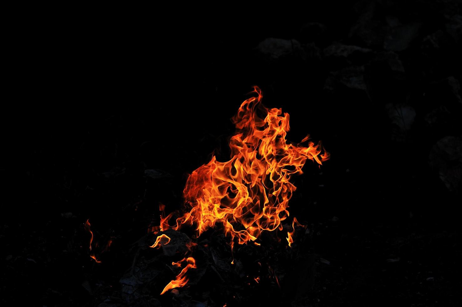 selvaggio fuoco Visualizza foto