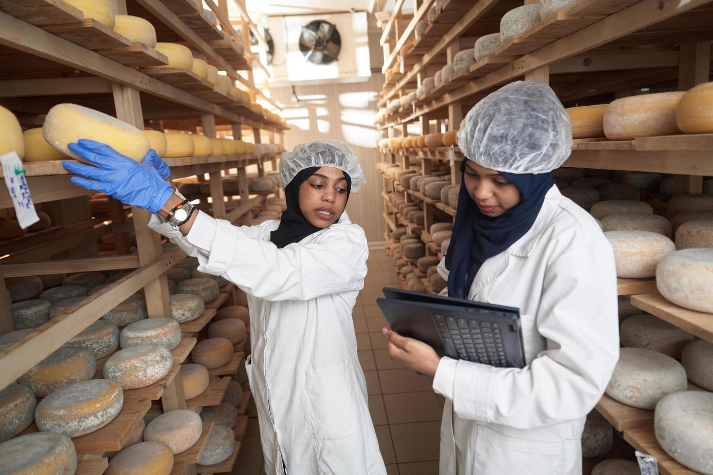 attività commerciale donna squadra nel Locale formaggio produzione azienda foto