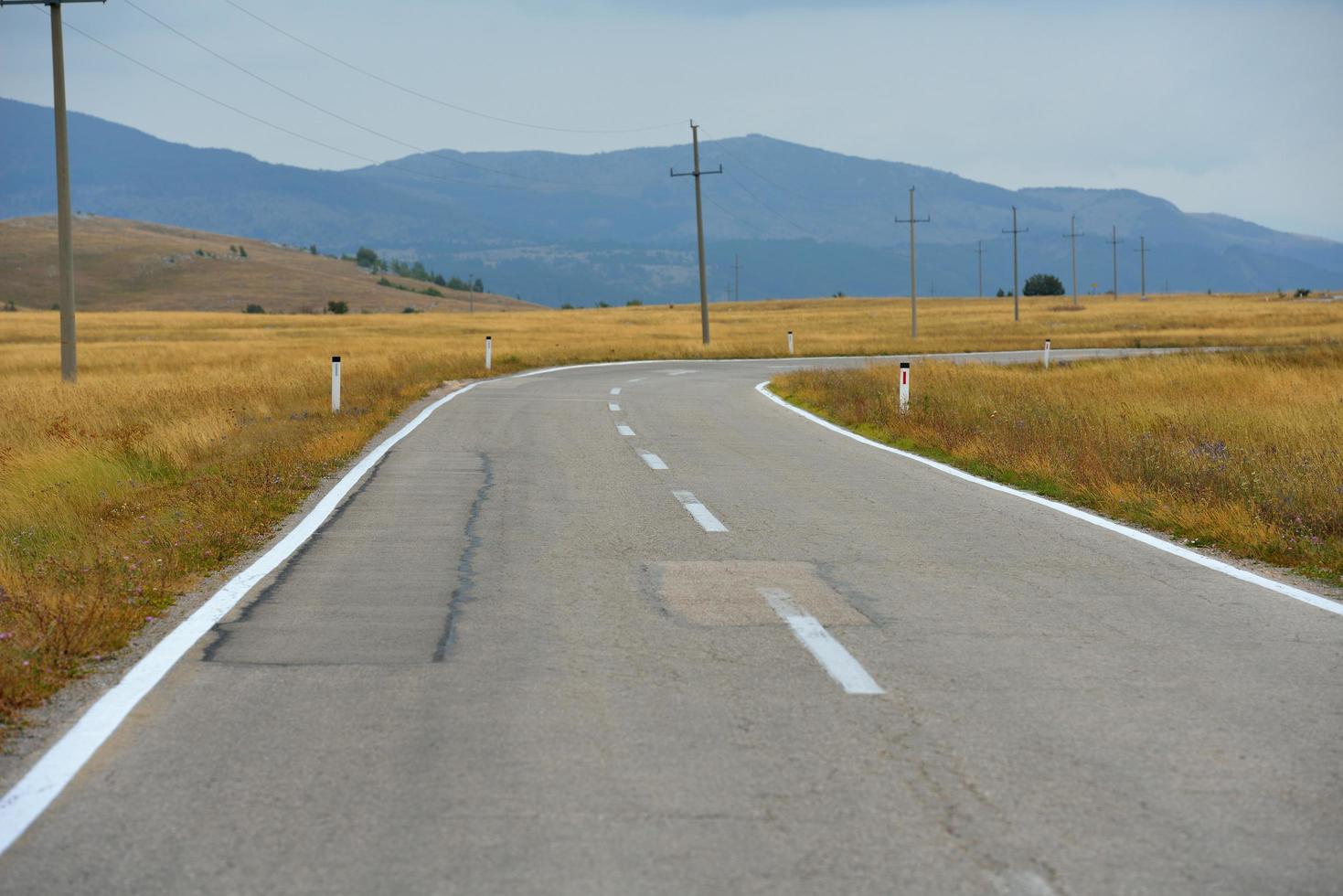 strada attraverso il verde campo foto