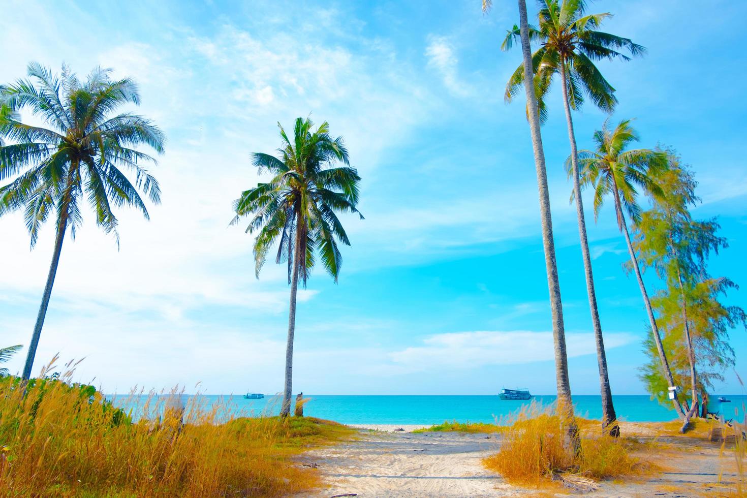 palma albero su il tropicale spiaggia, con un' bellissimo mare Visualizza su blu cielo natura sfondo foto