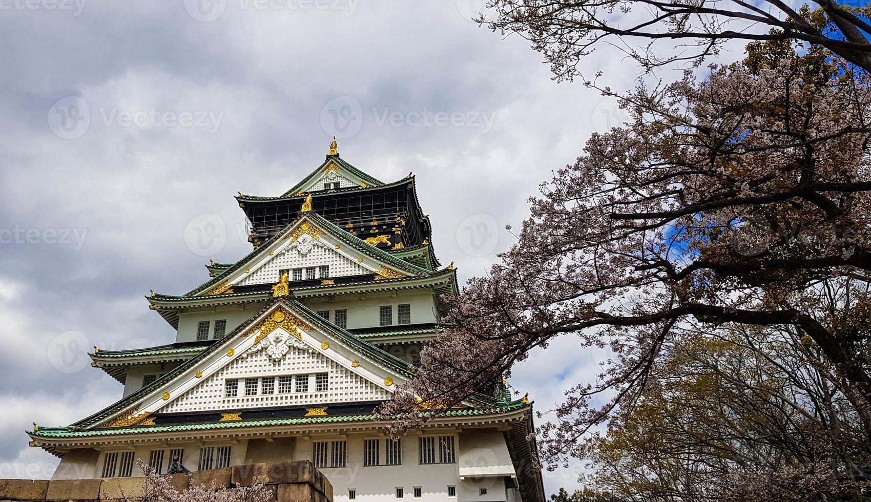 paesaggio foto di osaka castello nel molla, dove Là siamo ancora alcuni ciliegia fiori ancora nel fioritura.