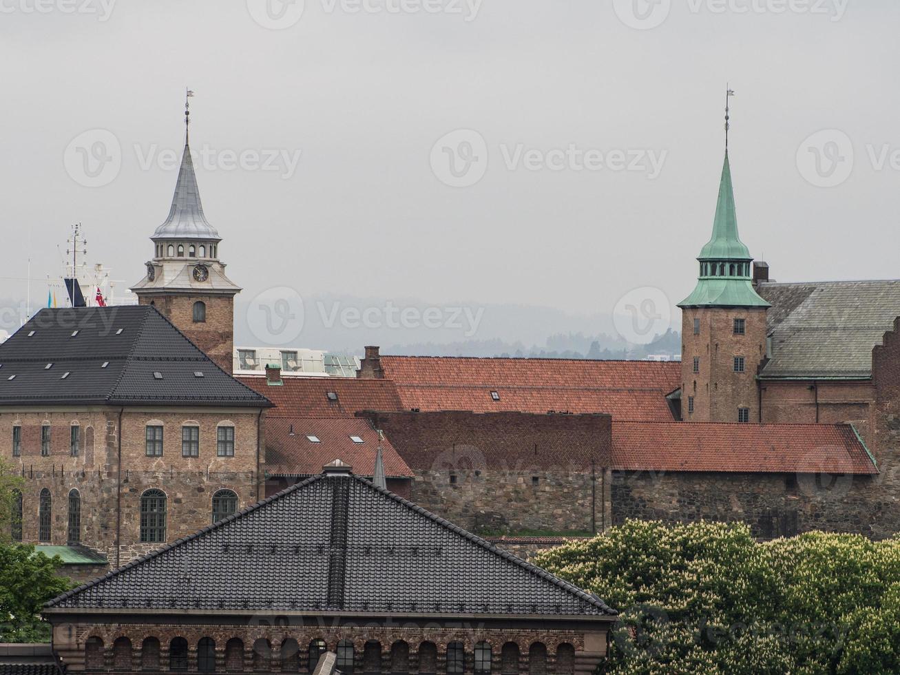 Oslo e il oslofjord nel Norvegia foto