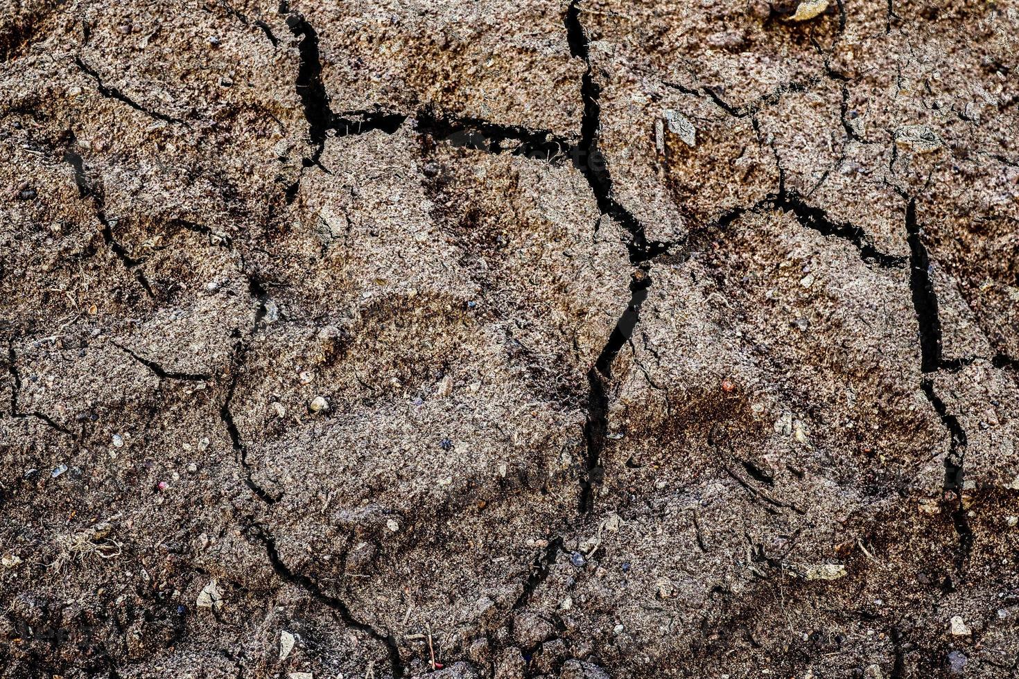 dettagliato vicino su Visualizza su asciutto agricolo motivo e acro nel alto risoluzione foto