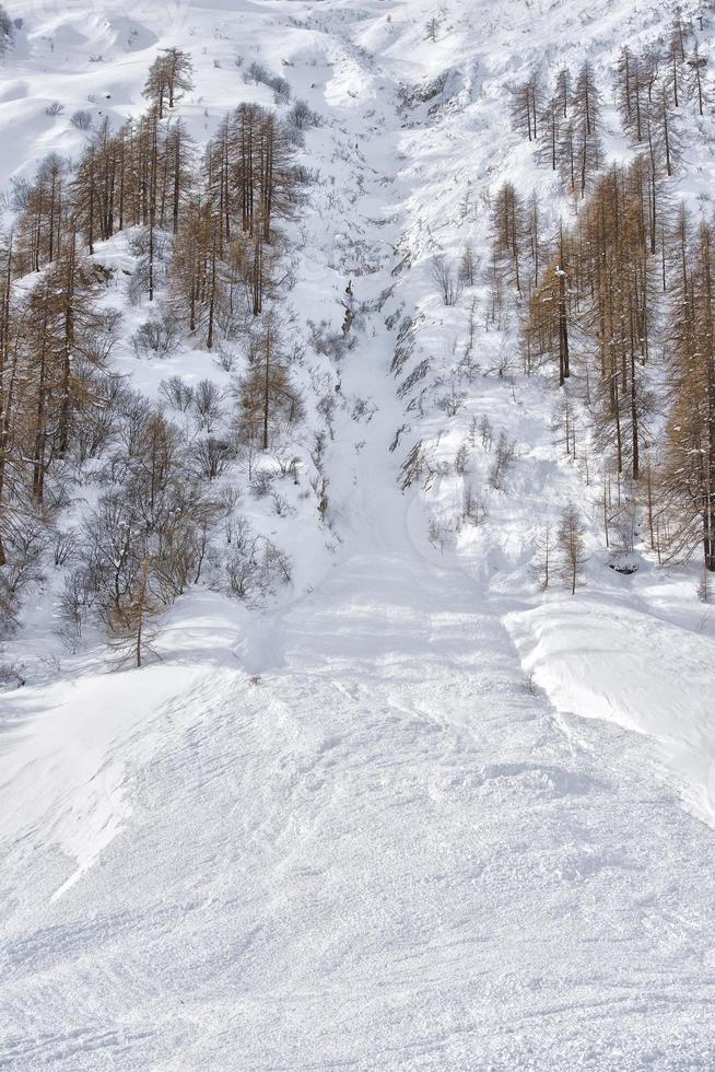 valanga nel Alpi foto