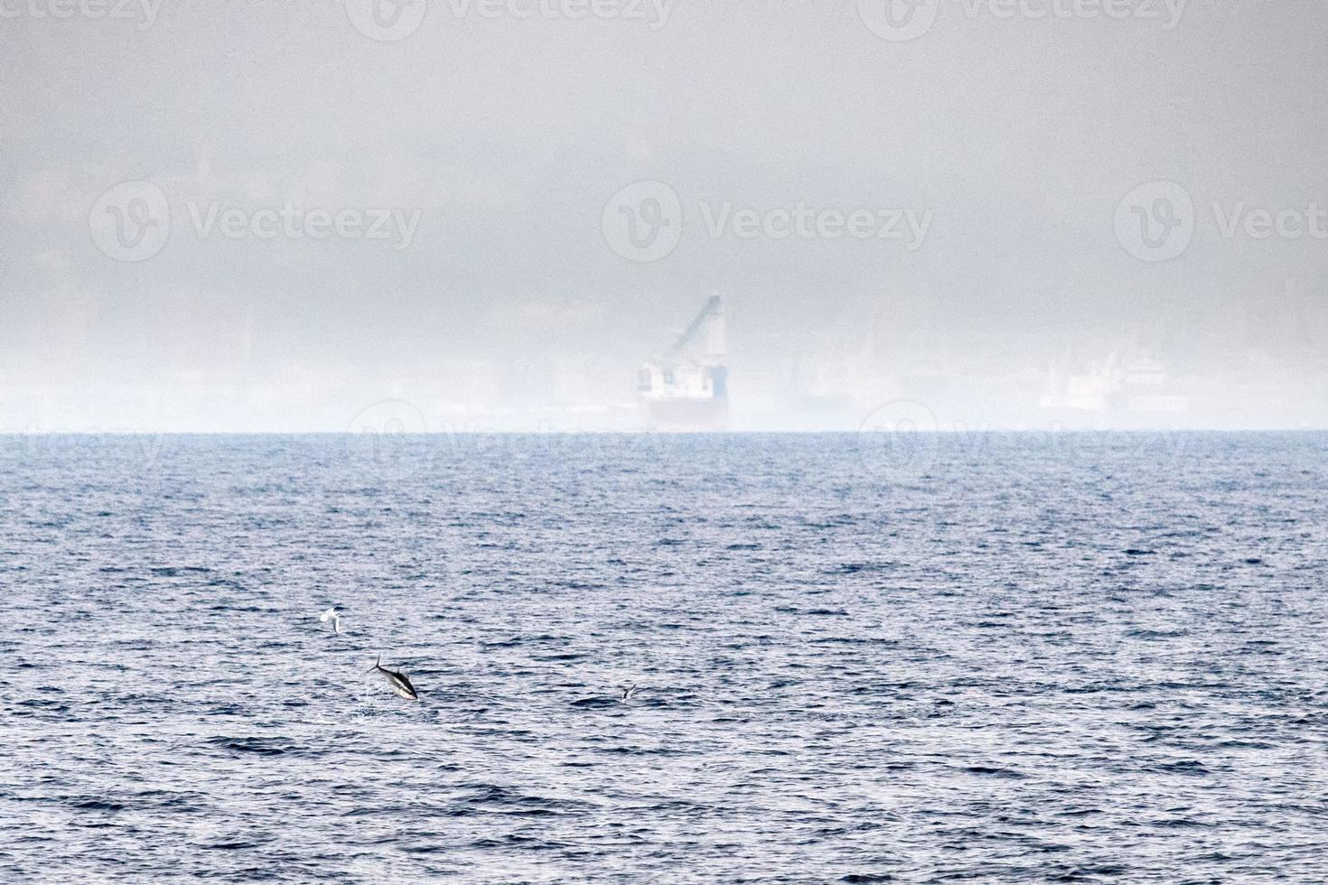 tonno pesce salto al di fuori il mare foto