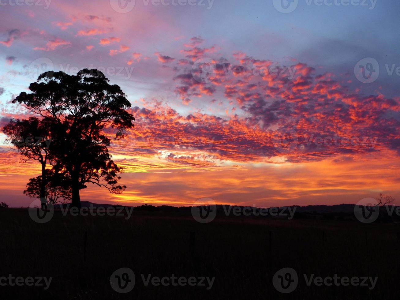 tramonto al di sopra di un' campo con rosso nuvole nel il cielo foto