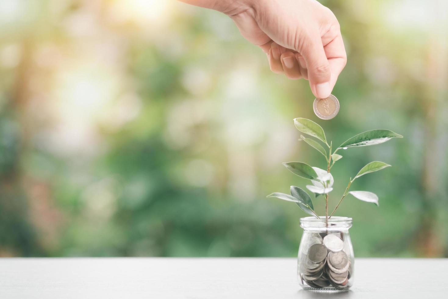 finanziario crescita e investimento idee sostenibile reddito e profitto pianificazione la pensione preparazione futuro fondo gestione, mani siamo mettendo monete nel un' bicchiere vaso con alberi e monete. foto