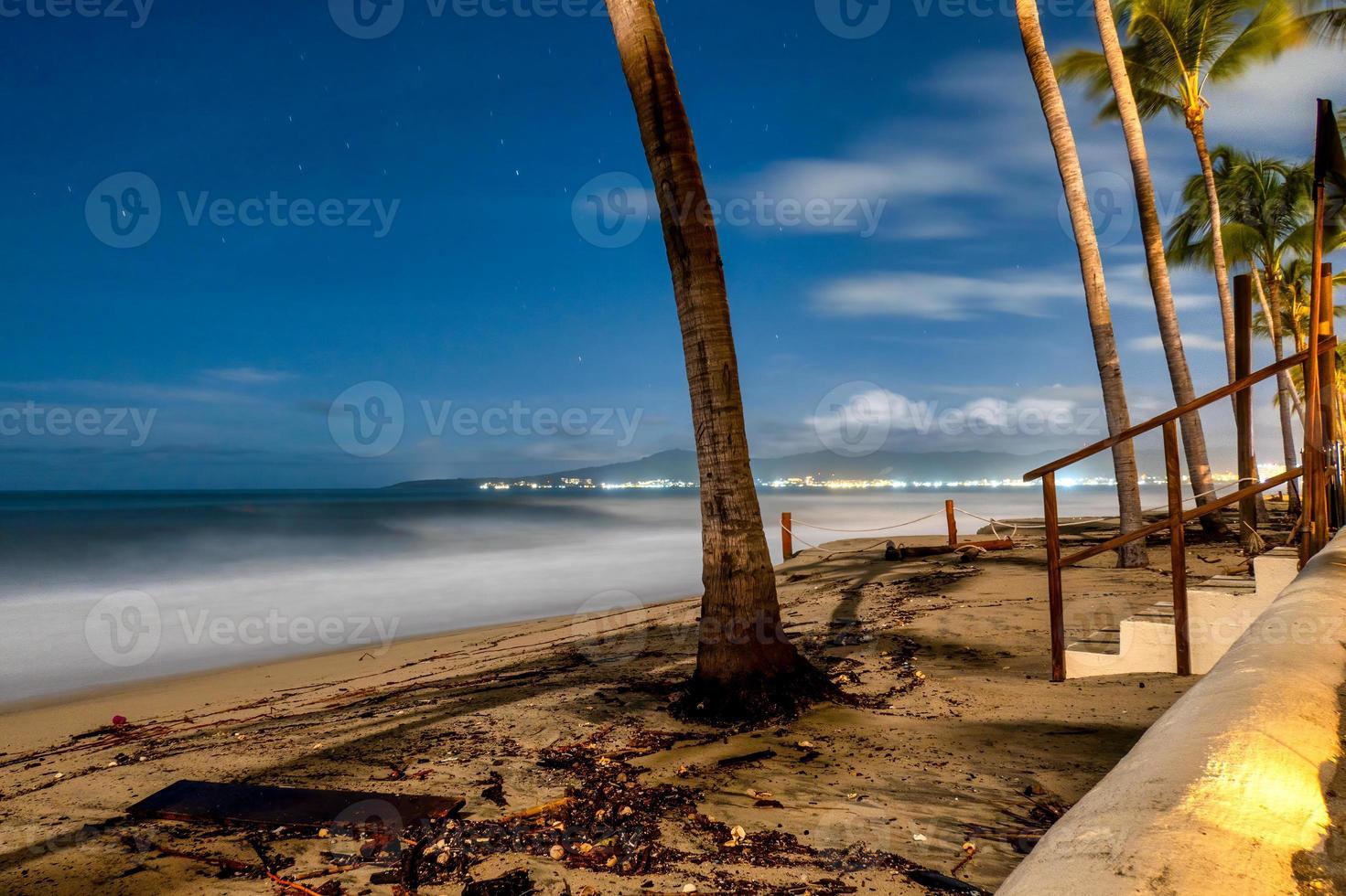 notte Visualizza di il mare con stai e palma alberi foto