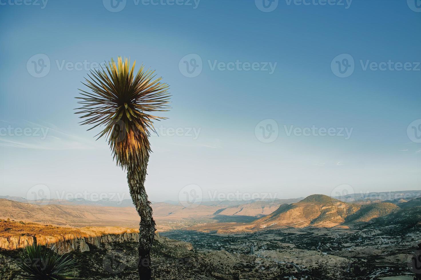 mille dollari canyon paesaggio deserto nel Messico foto