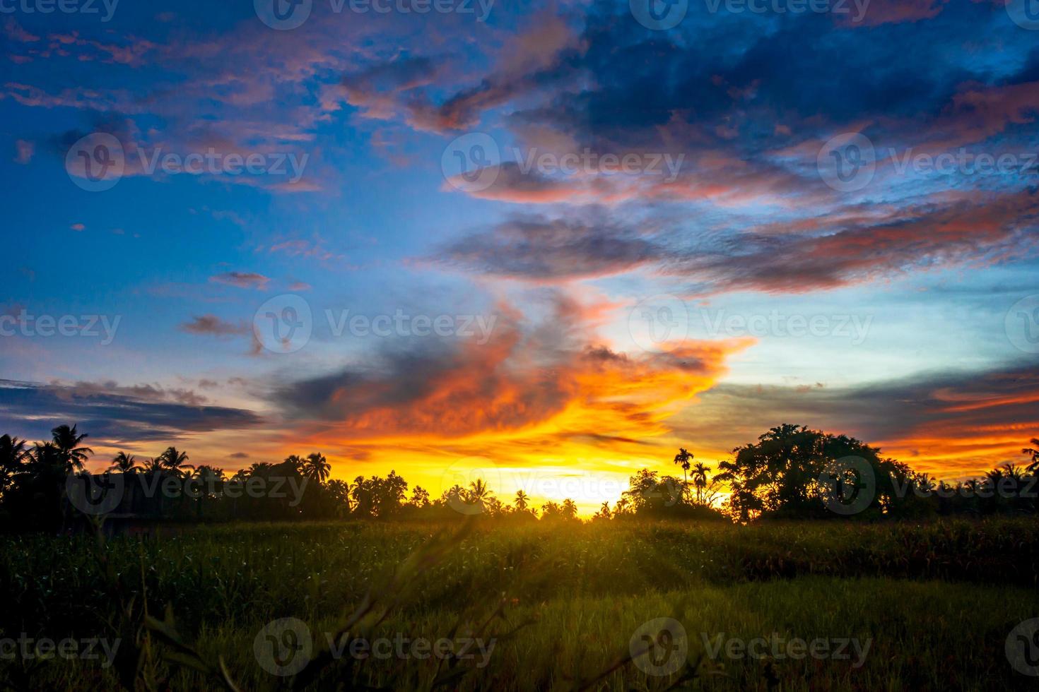 bellissimo sera cielo paesaggio foto