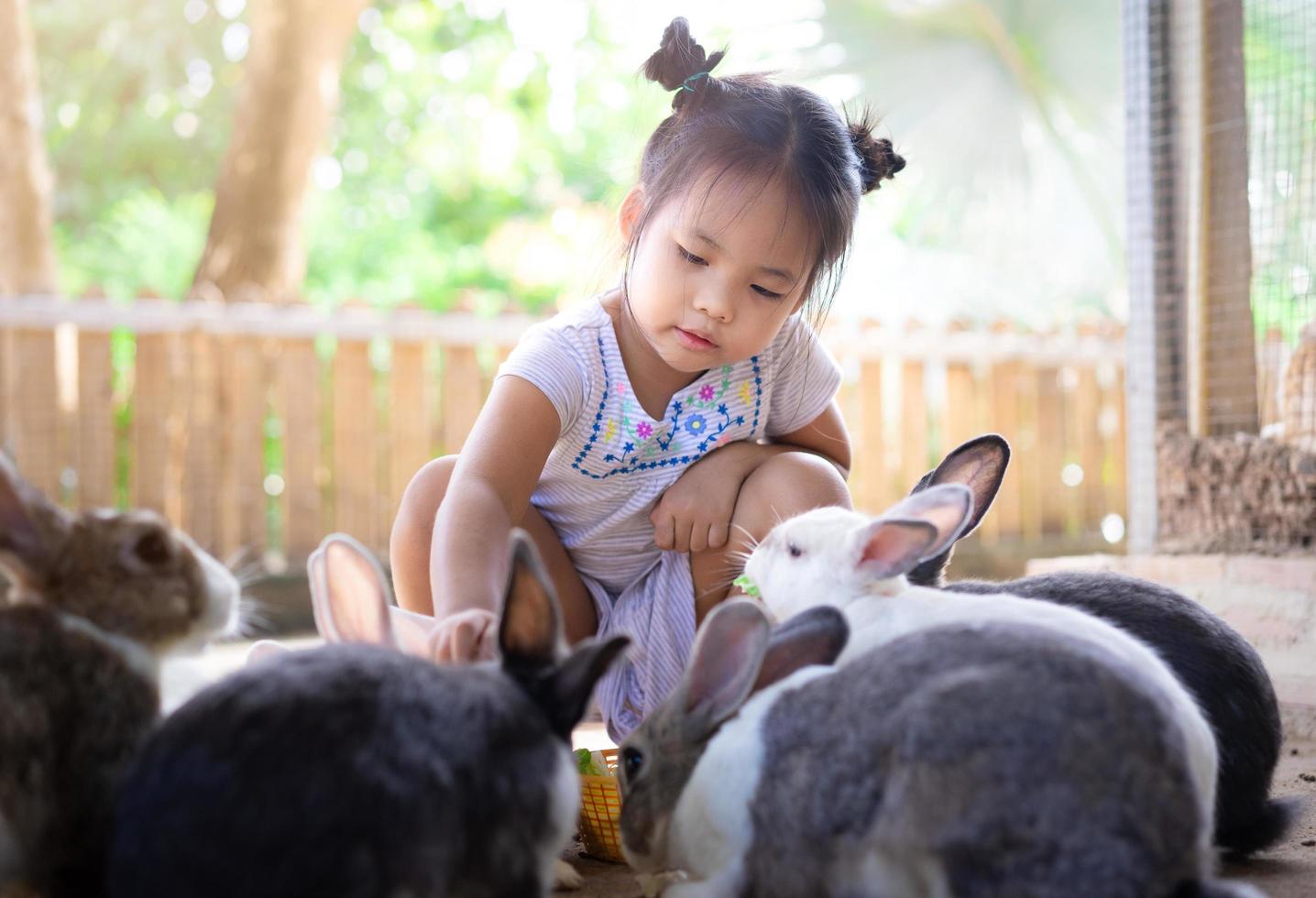 piccola ragazza asiatica che alimenta i conigli in una fattoria foto