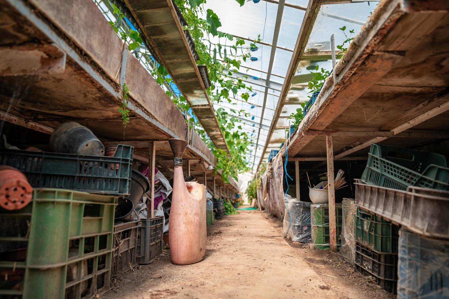 vista interna della serra con strumenti foto