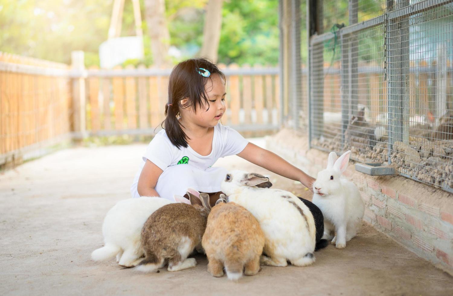 giovane ragazza nutrire conigli in fattoria foto