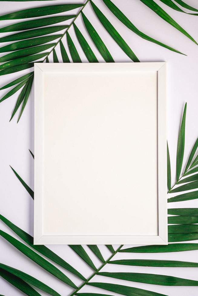cornice bianca con modello vuoto su foglie di palma, sfondo bianco foto