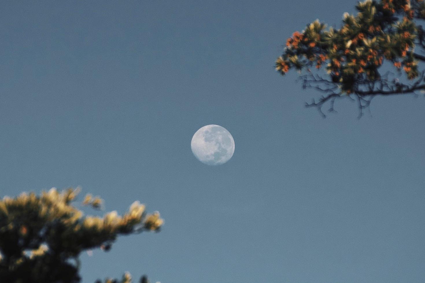 foto della luna all'alba