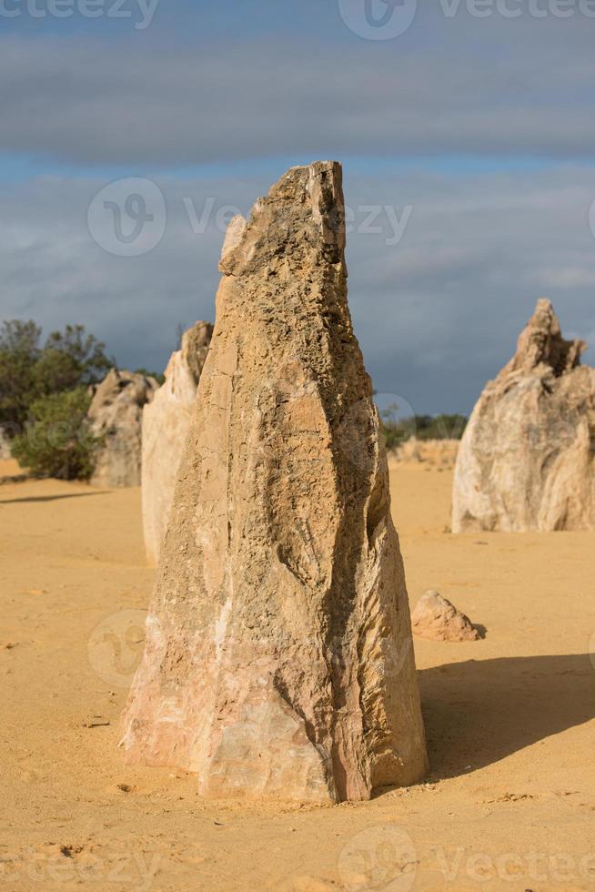 pinnacoli parco nel ovest Australia foto