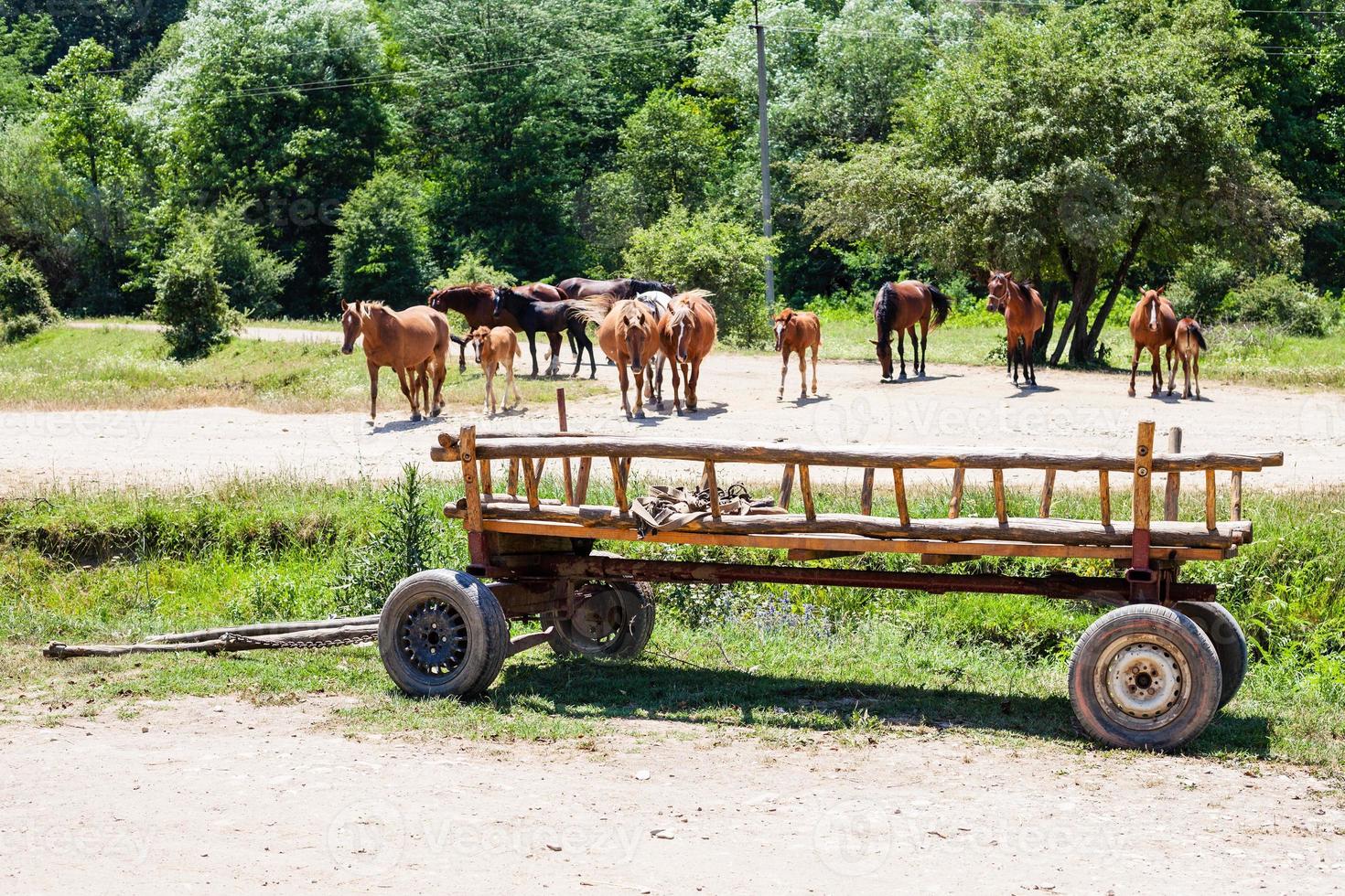 rurale paesaggio con cavalli e di legno carrello foto