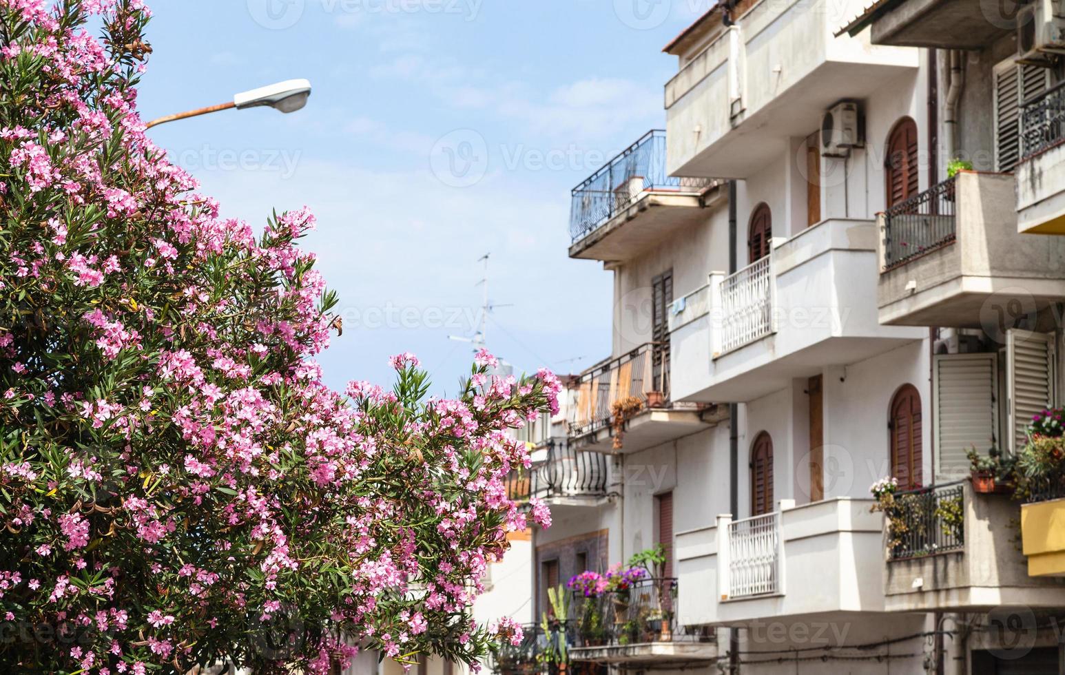 oleandro albero e case nel giardini naxos cittadina foto