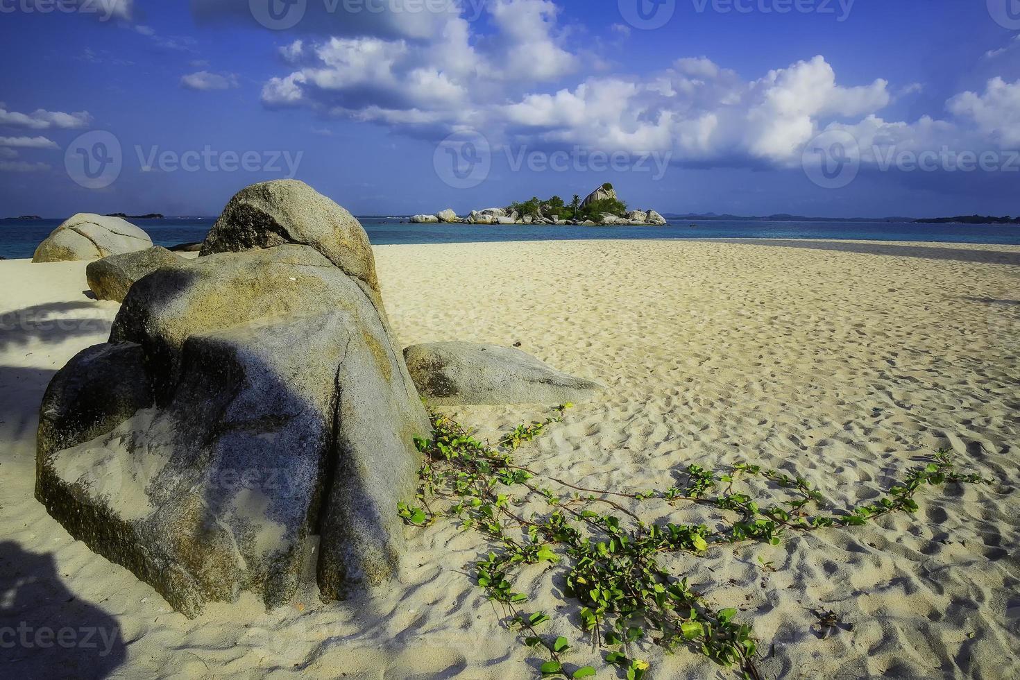 kepayang isola credendo foto