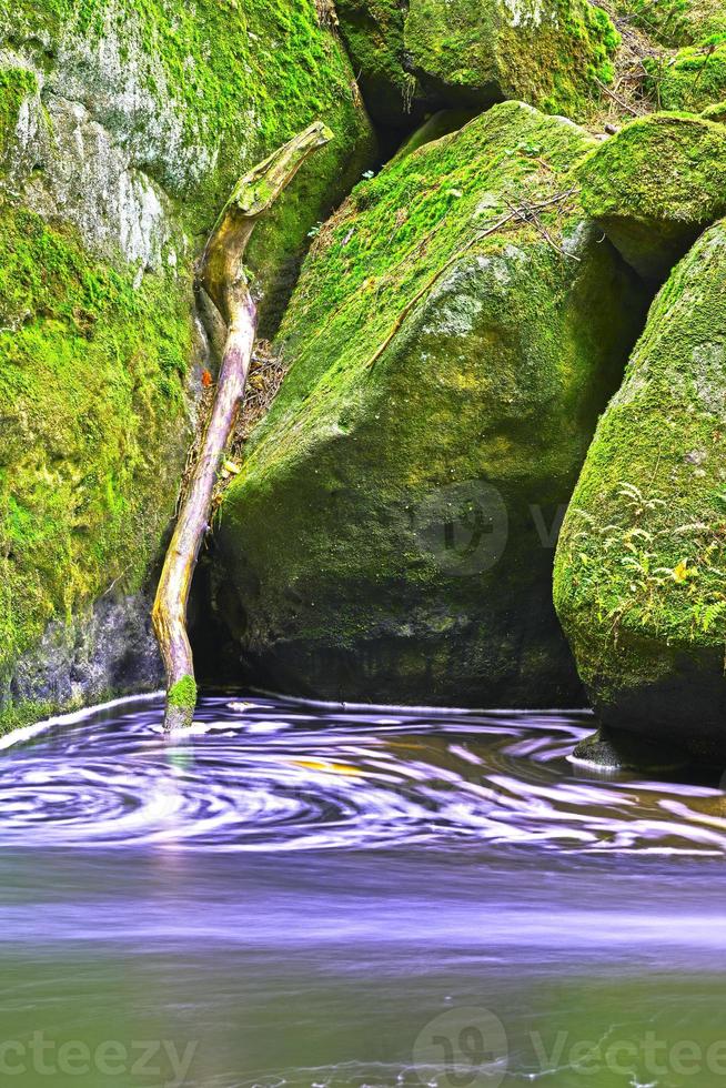 autunno ruscello e fiume foto