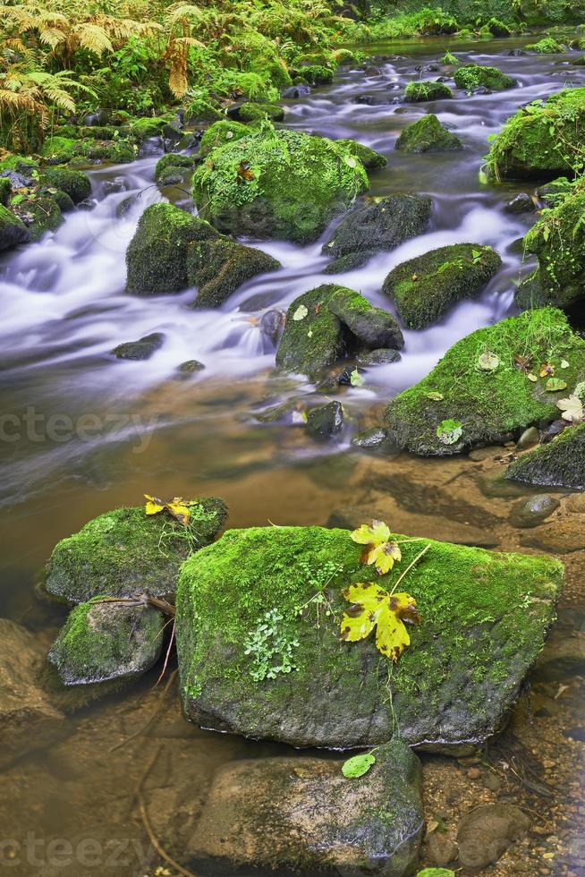 autunno ruscello e fiume foto