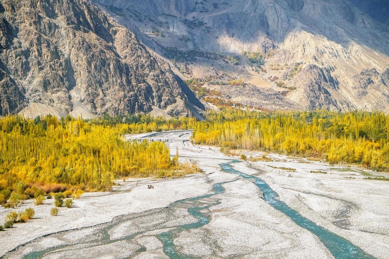 veduta aerea del fiume che scorre attraverso la sabbia bianca foto