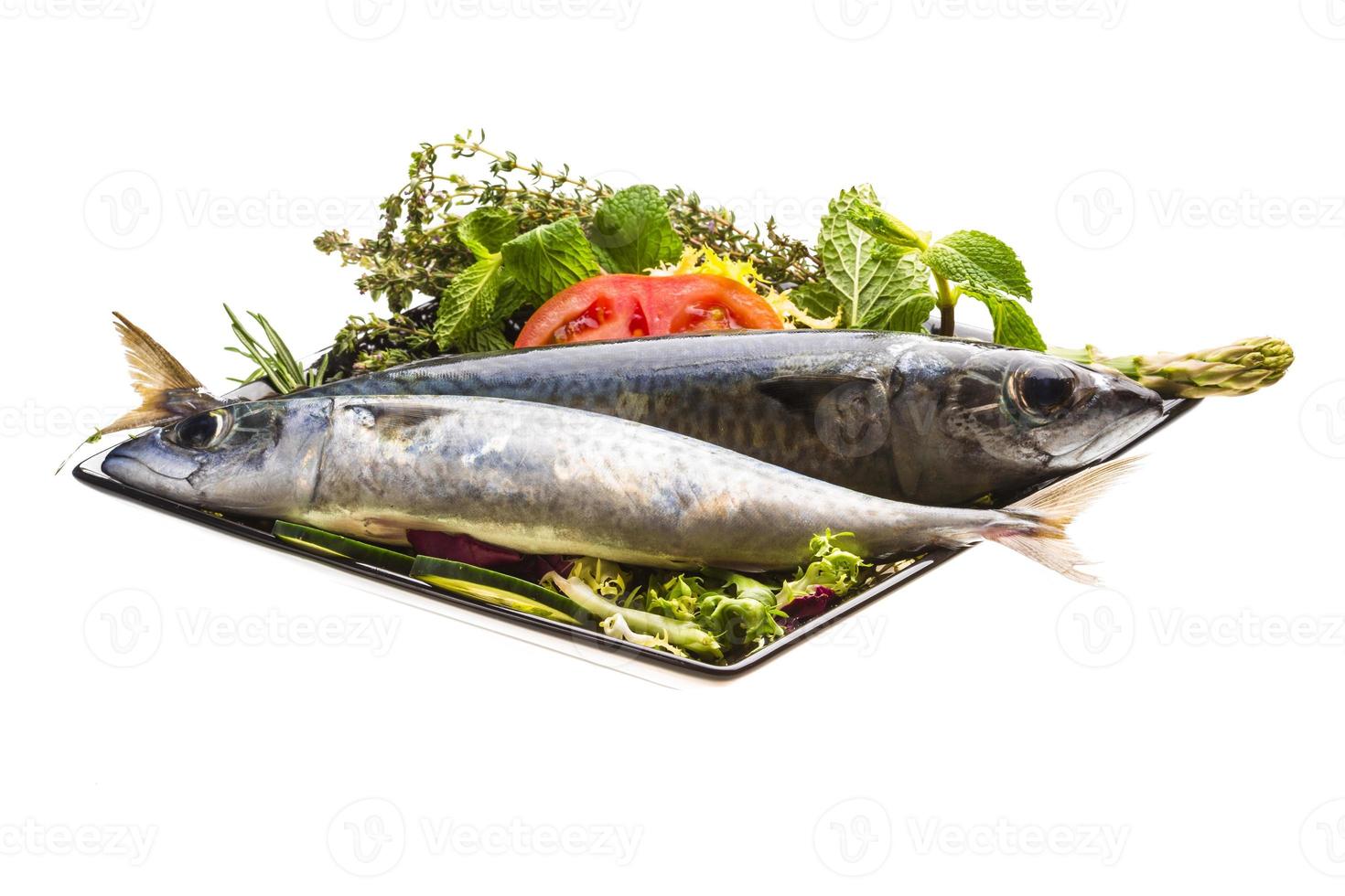 sardina atlantica cruda foto
