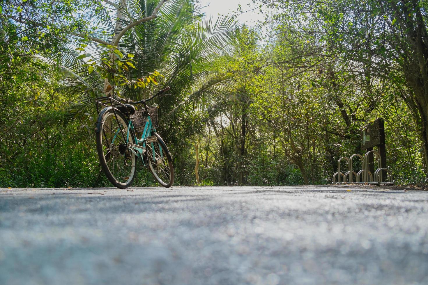 vista dal basso di una bici parcheggiata sulla strada vuota nella foresta tropicale foto