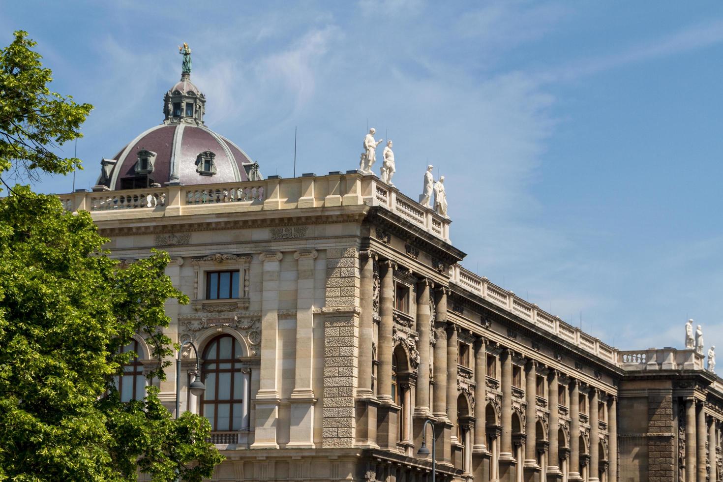 museo di storia naturale, vienna foto