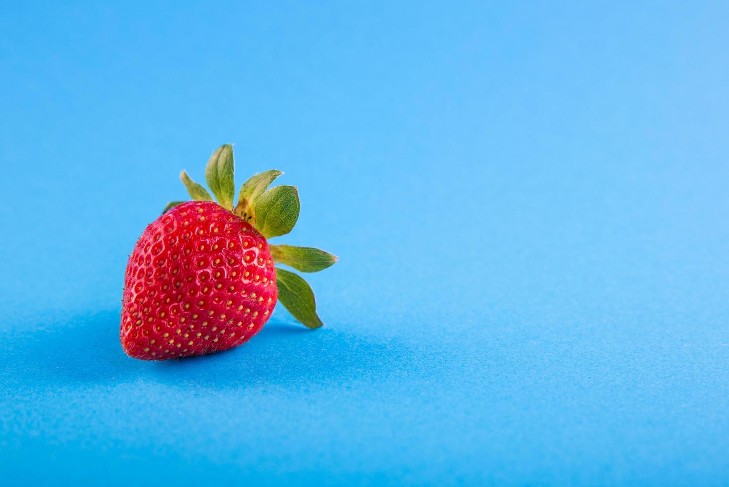 fragola su sfondo blu foto