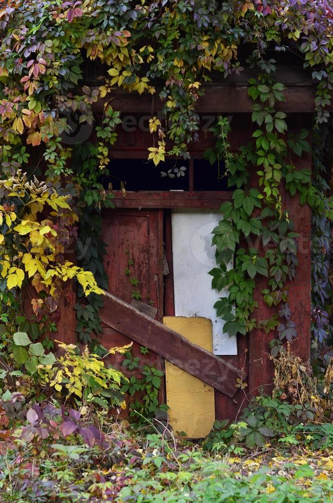 Imbarcati su porta nel il vecchio cantina foto