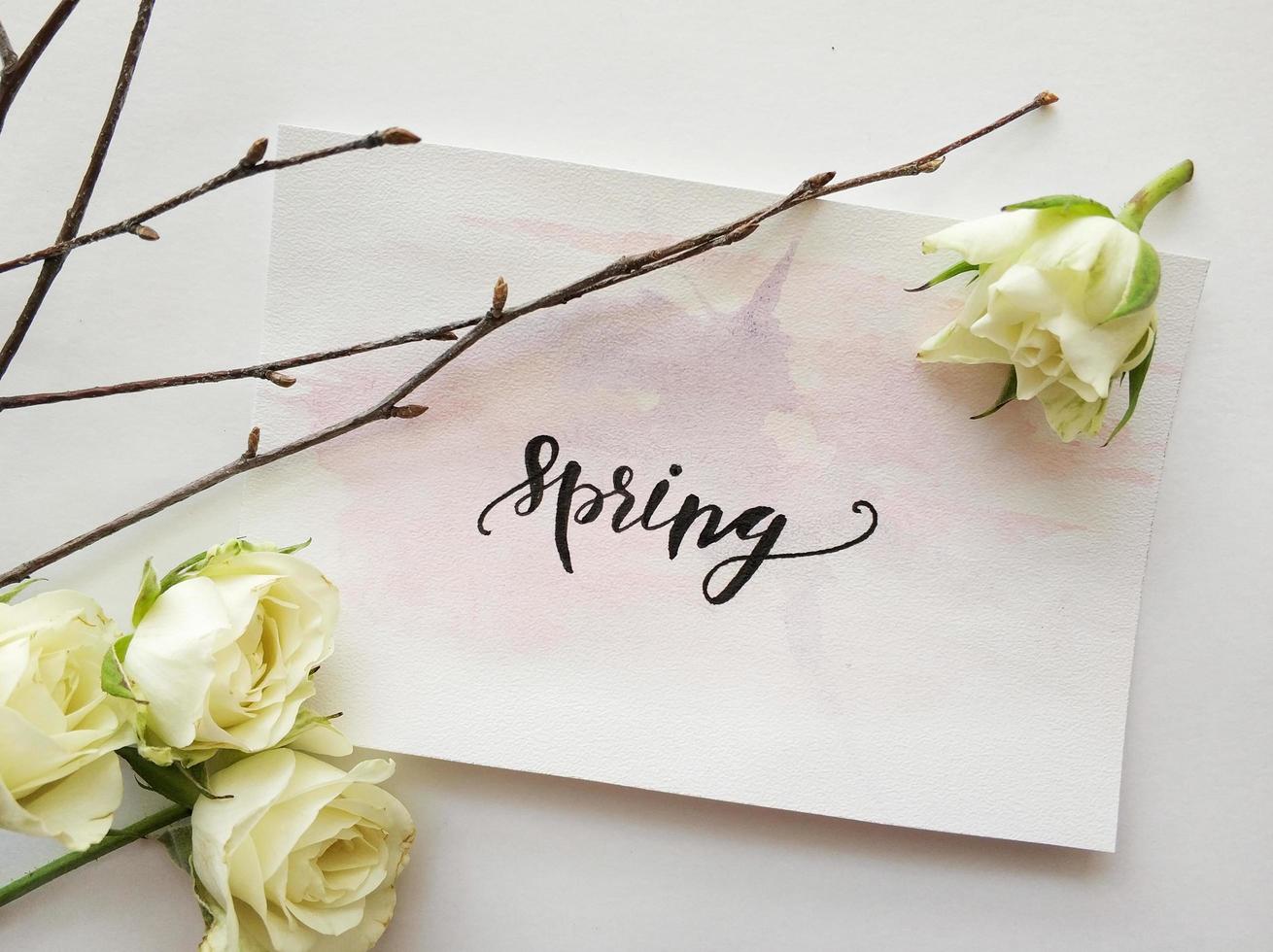 segno di primavera con fiori bianchi foto