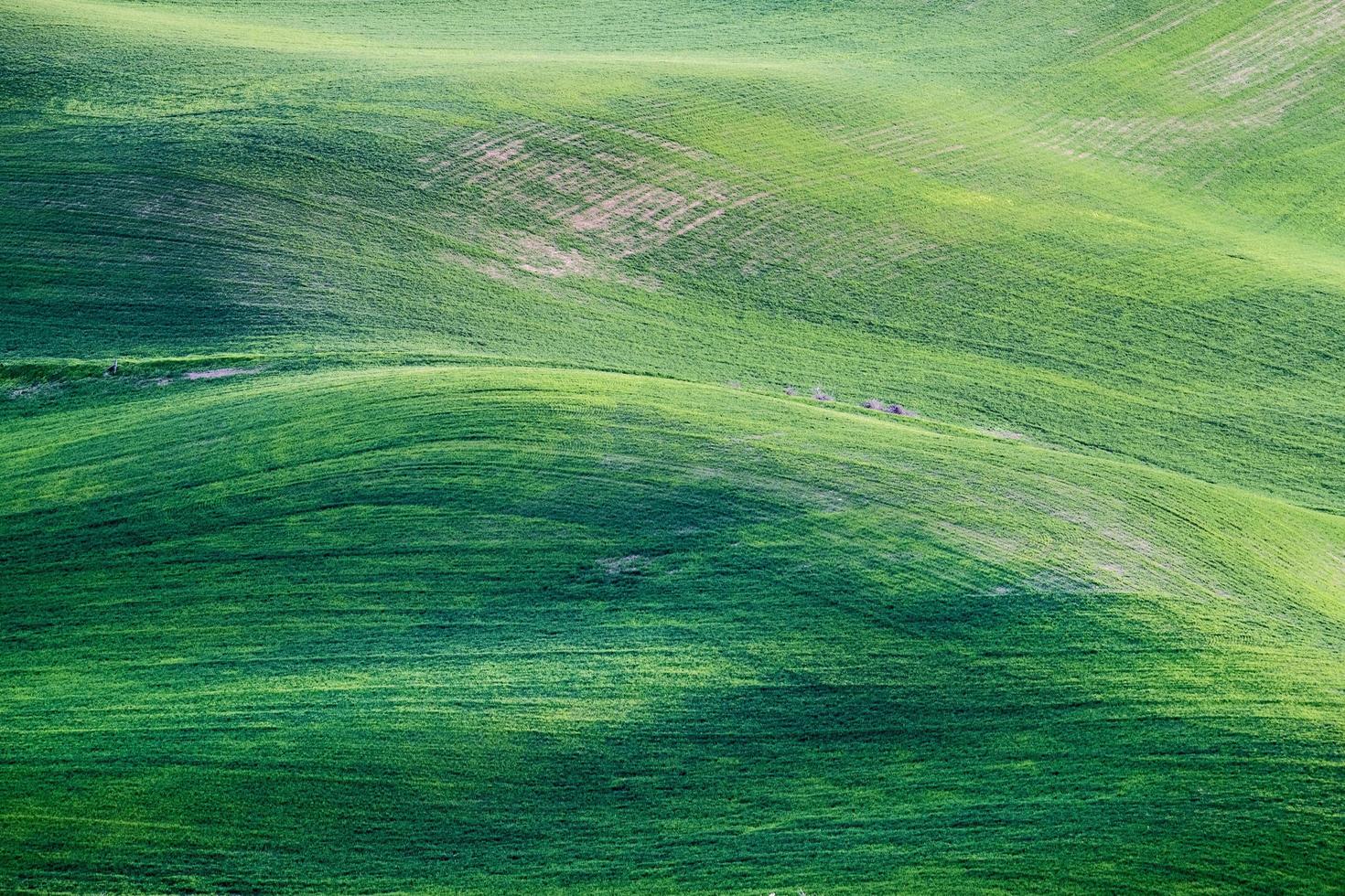 verdi colline di montagna foto