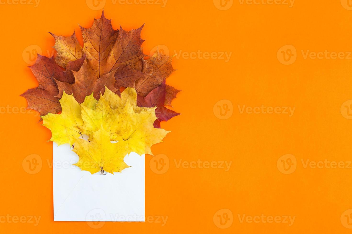 autunno le foglie nel carta Busta modello foto