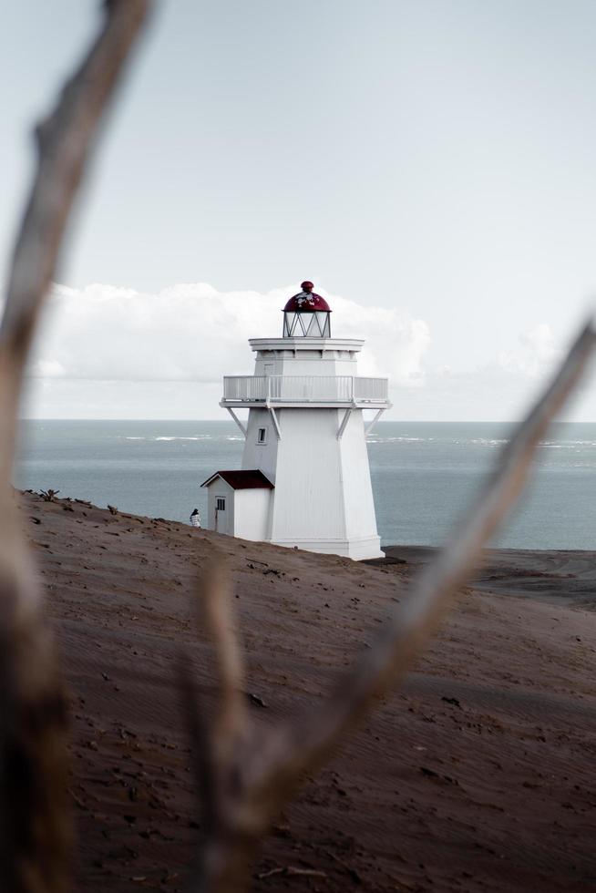 vista del faro bianco attraverso gli alberi foto