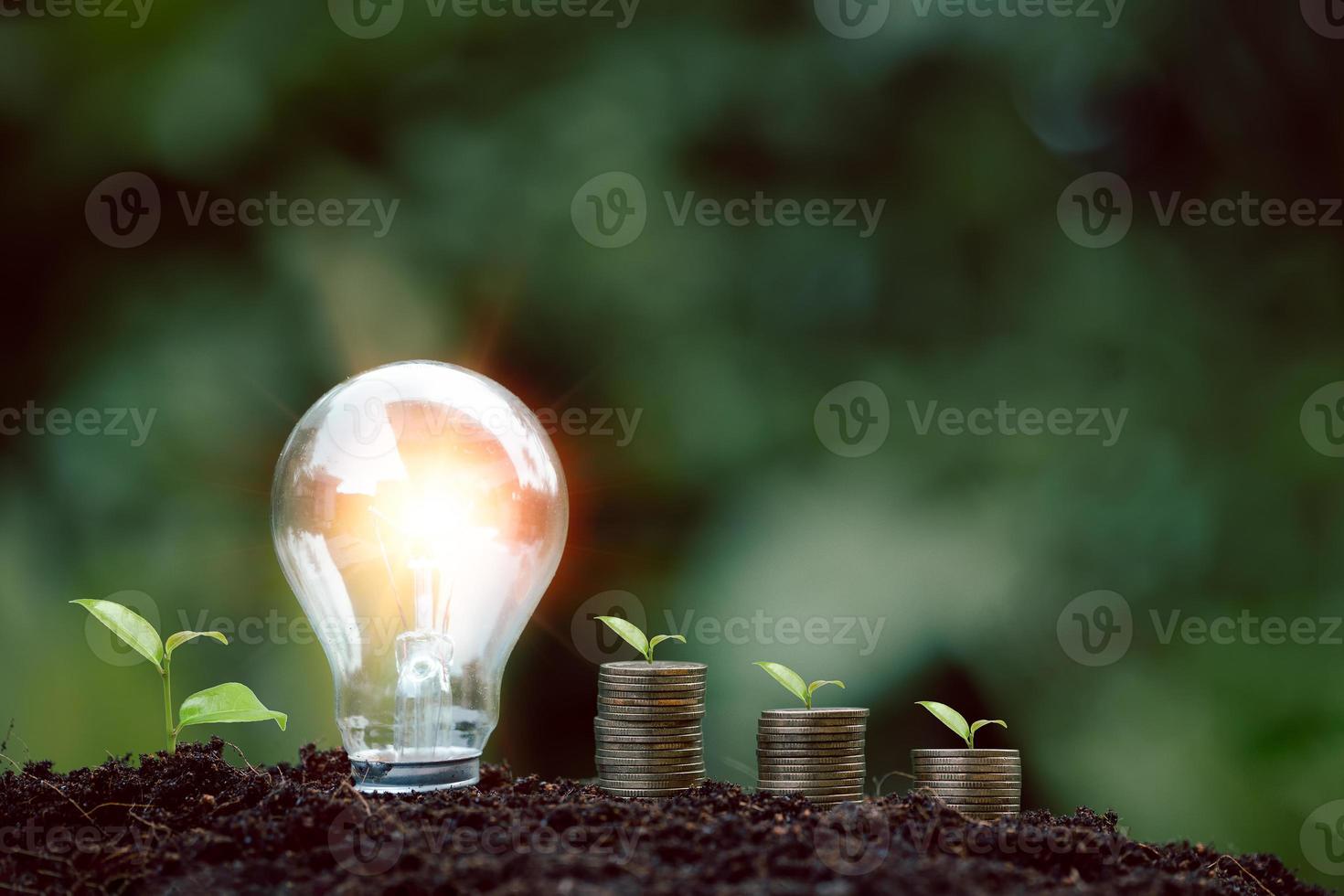 alternativa energia, rinnovabile energia, Salvataggio energia, elettricità leggero lampada a partire dal solare e finanza, finanza bancario crescita, energia azione investimento, albero in crescita su su moneta e lampadina su suolo foto