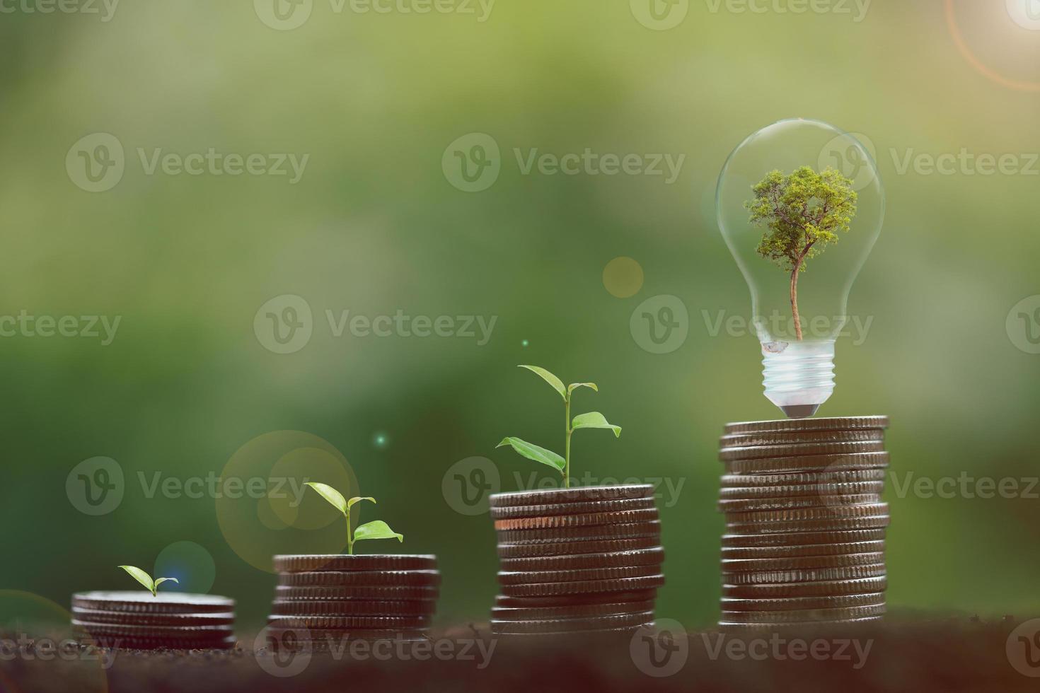 alternativa energia, rinnovabile energia, Salvataggio energia, elettricità leggero lampada a partire dal solare e finanza, finanza bancario crescita, energia azione investimento, albero in crescita su su moneta e lampadina su suolo foto