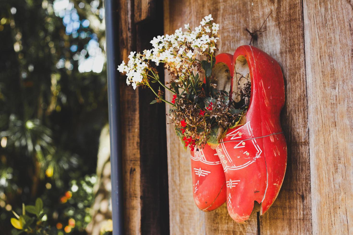 fioriere di scarpe di legno sul muro foto