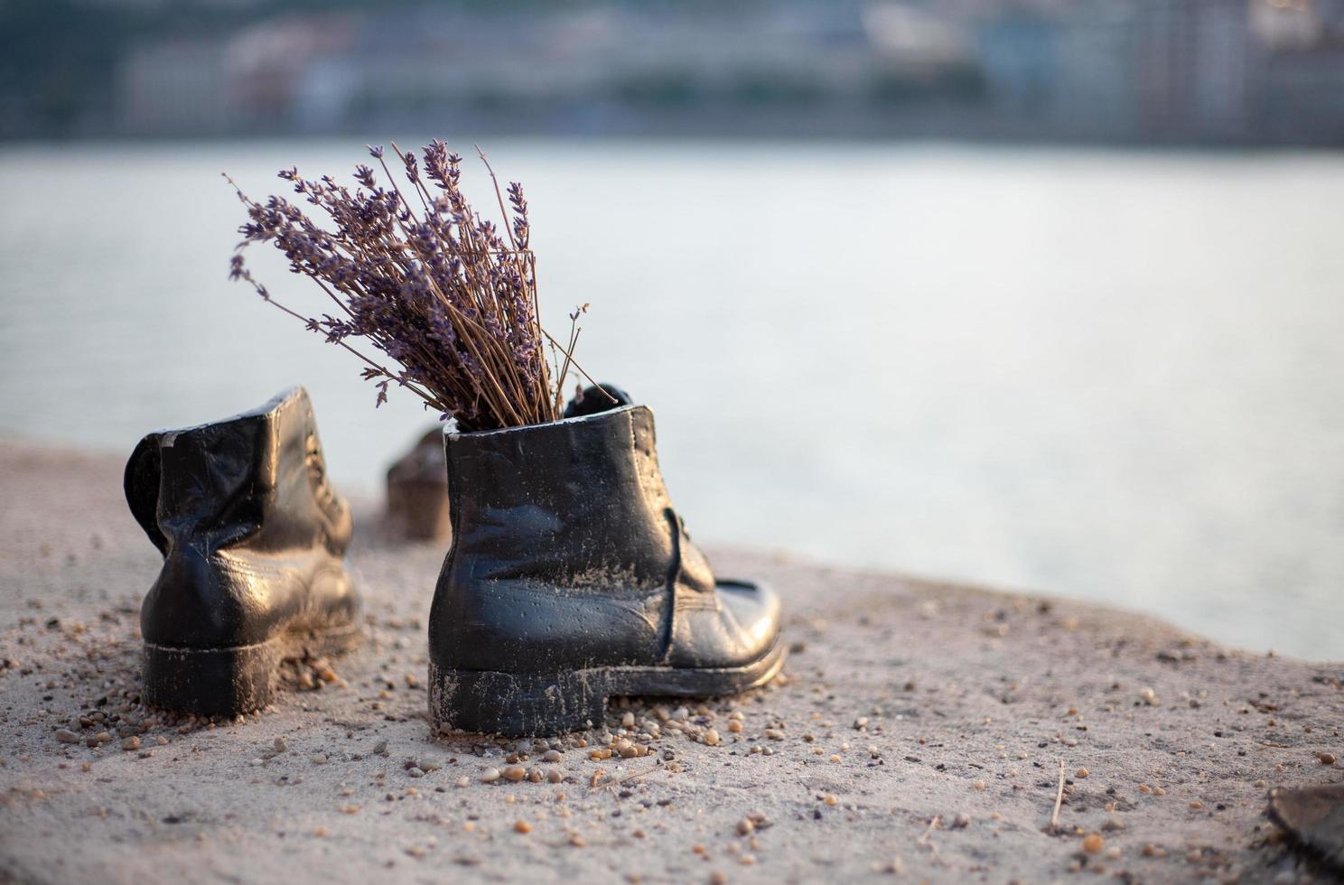 scarpe nere con fiori secchi in riva al mare foto