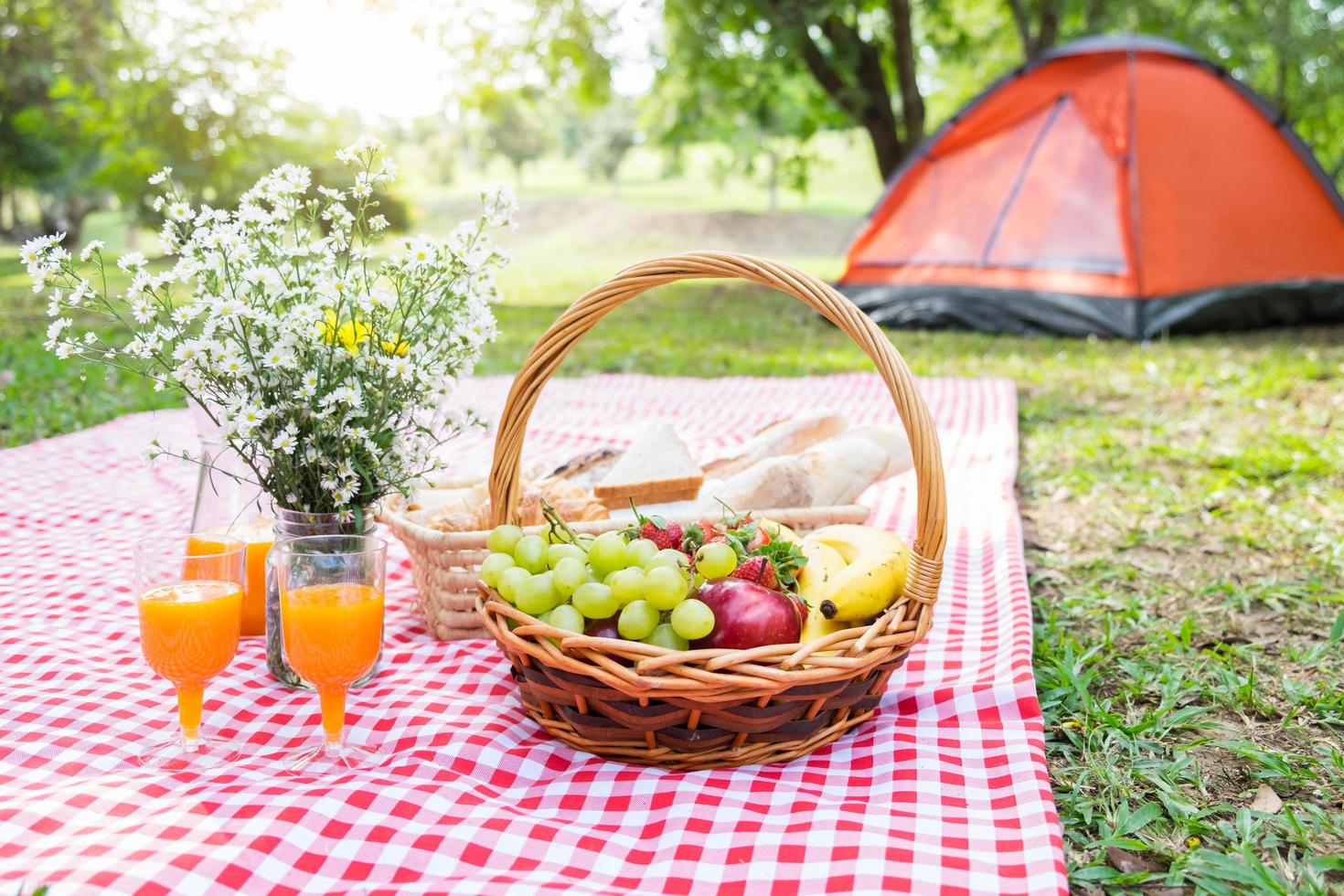 picnic estivo all'aperto foto