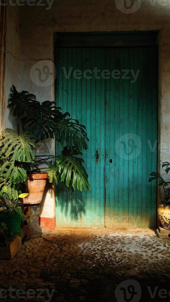 vecchio tipico Vintage ▾ di legno porta, Monstera deliziosa, Cerimano, ombre e luci foto