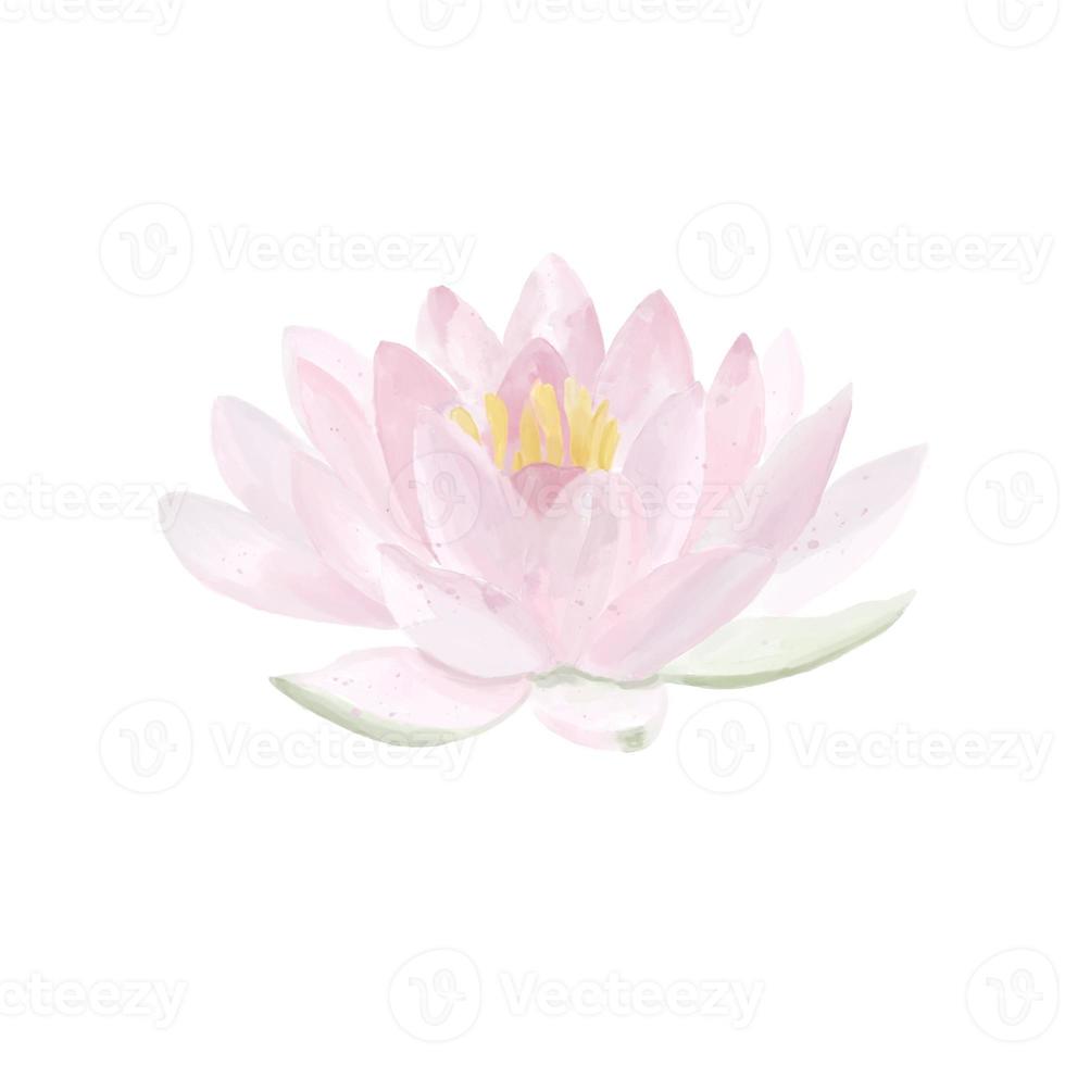 acquerello mano disegnato loto fiore nel leggero tema foto